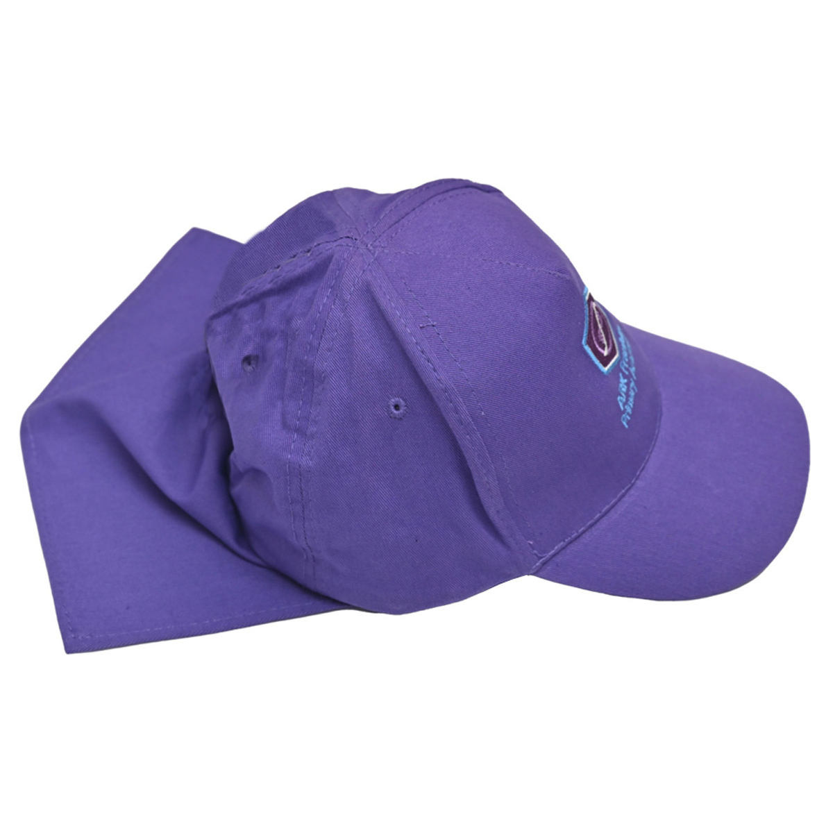 ACE Clothing Ark Franklin Summer Cap Purple