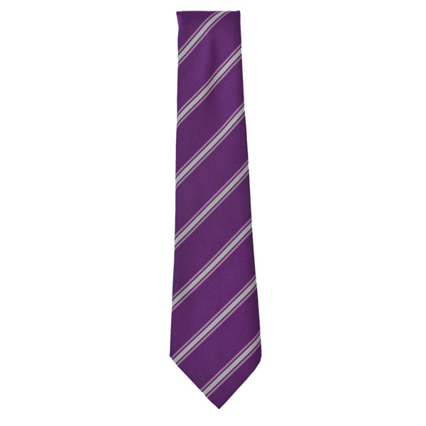 Ark Franklin Tie