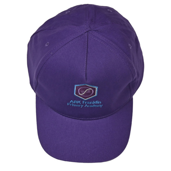 Ark Franklin Summer Baseball Cap  - Purple