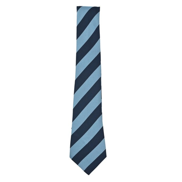 Convent of Jesus & Mary School Tie