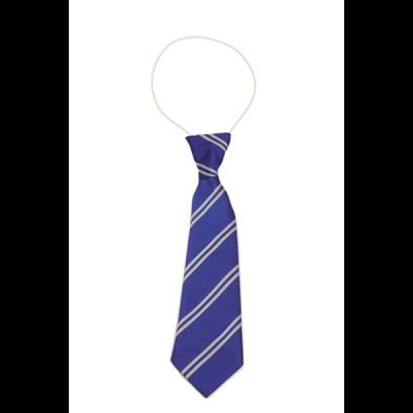 Our Lady Of Lourdes Elastic Tie