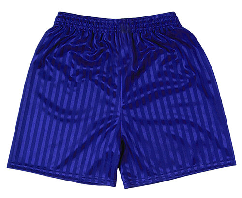 ACE Clothing  PE/Summer Shorts (Shadow stripe)