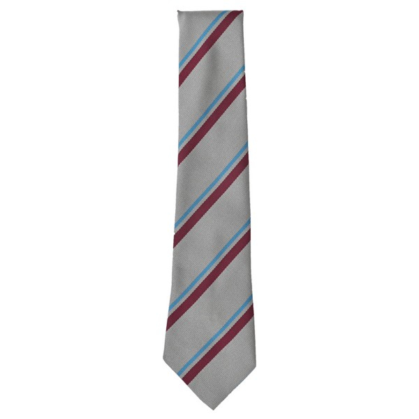 ARK Brunel School Tie