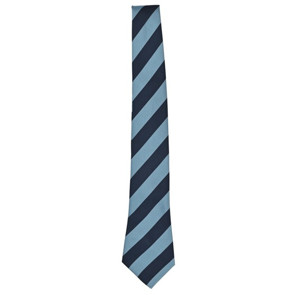 St Raphael's School Tie