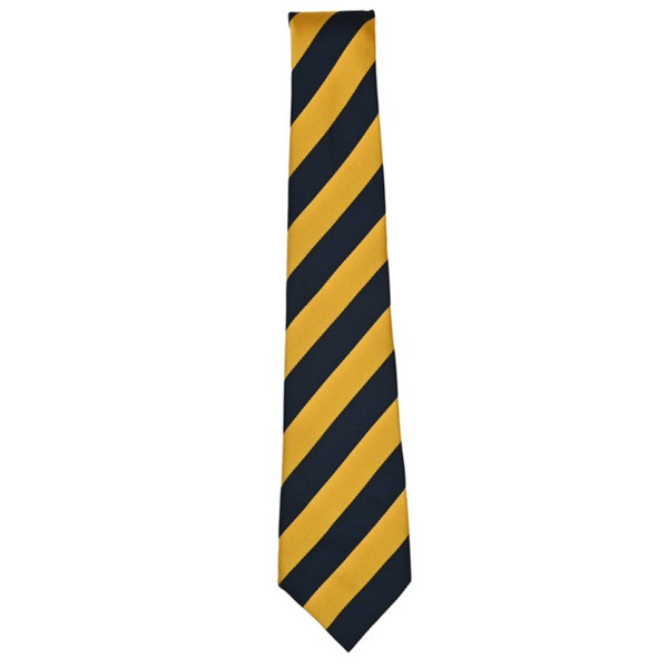 Preston Park School Tie